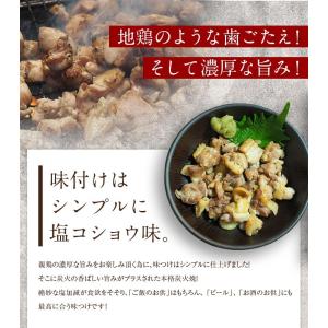 鶏の炭火焼 塩こしょう味 100g×3 セット...の詳細画像4