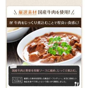ビーフシチュー 200g×4パック 辛さ 選べ...の詳細画像4