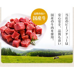 ビーフシチュー 200g×4パック 辛さ 選べ...の詳細画像5