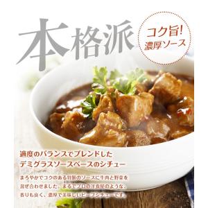 ビーフシチュー 200g×2パック 辛さ 選べ...の詳細画像3