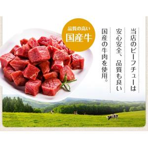 ビーフシチュー 200g×2パック 辛さ 選べ...の詳細画像5