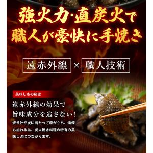 おつまみ 鶏皮 炭火焼 塩胡椒味 50g×3袋...の詳細画像5