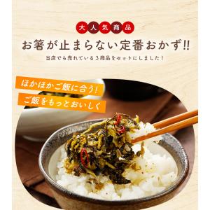 ごはんが進むセット 3袋 辛子高菜 無添加おか...の詳細画像1