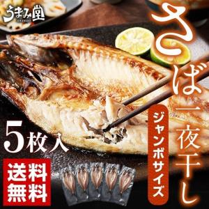 さば一夜干し 5枚入 干物 鯖 サバ ギフト グルメ 取り寄せ 送料無料 うま味 [冷凍]