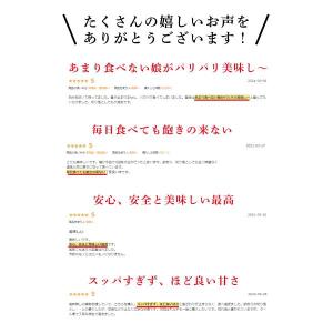 甘酢白たくあん 1kg (200g5本) 漬物...の詳細画像3