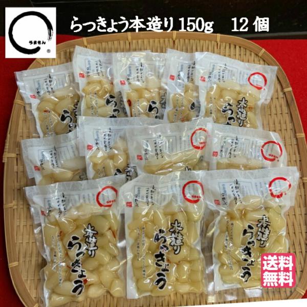 らっきょう本造り 150g 12個セット 漬物 送料無料 らっきょう漬 酢漬け アミノ酸不使用 つけ...