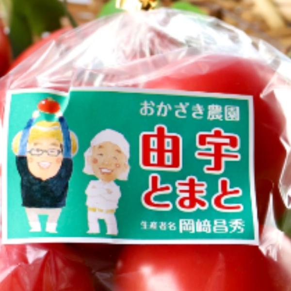 由宇とまと1kg 送料無料（500ｇ２袋） 桃太郎 岩国ブランド 特産品 トマト農家 おかざき農園