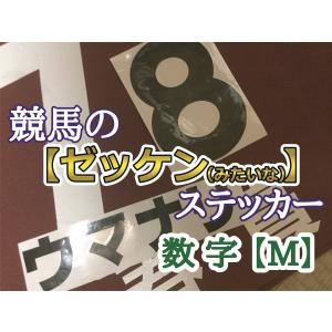 競馬のゼッケン Amazon.co.jp: ゴールドシップ ゼッケン 13 背番号 第57回 有馬