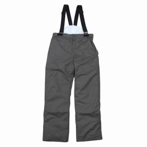 スキーパンツ メンズ 撥水加工 スノーパンツ スキーウェア