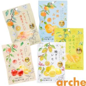 ドライフルーツ 国産 お試し 小袋５種類セット 南信州菓子工房 ※メール便のため配達日時指定不可。