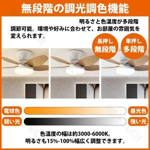 【2026新登場】シーリングファンライト おし...の詳細画像3