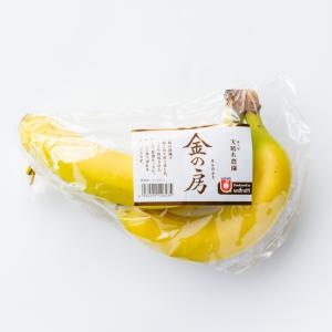 【単品商品】フィリピン産他　金の房バナナ　３本袋｜umaumamogumogu