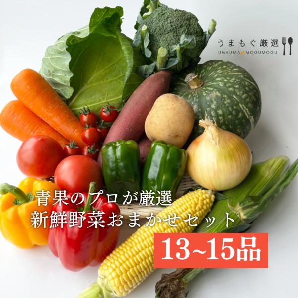 旬のおまかせ13品〜15品野菜セット 詰め合わせ 仕送り 北九州 新鮮 野菜 セット 旬 野菜 おま...