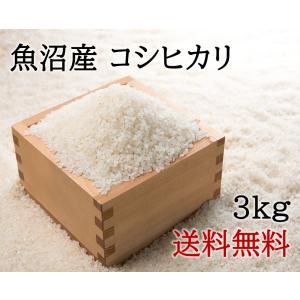 魚沼産コシヒカリ 3kg 送料無料 銘柄米 ブラ...の商品画像