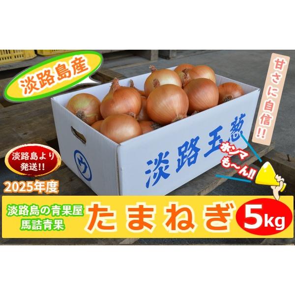 【送料無料】淡路島産 たまねぎ5kg 甘さに自信!!ほんまもん淡路島より発送!!