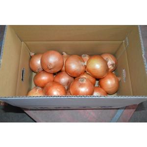 【送料無料】淡路島産 たまねぎ5kg 甘さに自...の詳細画像1