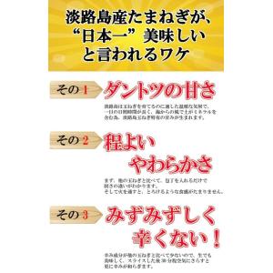 【送料無料】淡路島産 たまねぎ5kg 甘さに自...の詳細画像3