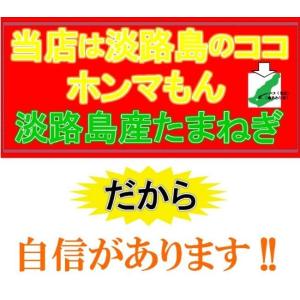 【送料無料】淡路島産 たまねぎ5kg 甘さに自...の詳細画像4