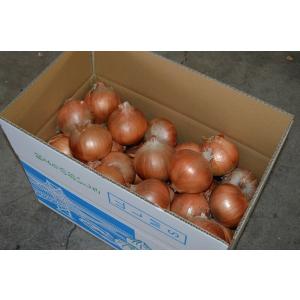 【送料無料】淡路島産 たまねぎ10kg 甘さに...の詳細画像1