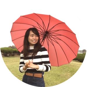 傘3点選んで3980円対象商品 16本骨傘 レ...の詳細画像1