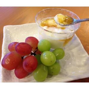 手作り梅ジャム （宮崎県産露茜梅使用） 140g 幻の梅の品種、露茜を