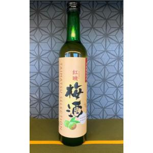 手作り梅酒500ml（福井県産完熟紅映梅）使用　こだわり純米吟醸ベース
