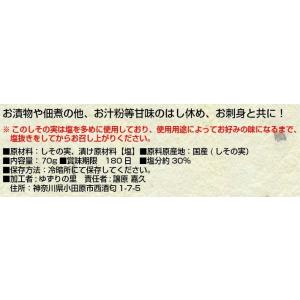 送料185円で全国配送可能 国産 無添加 しそ...の詳細画像2