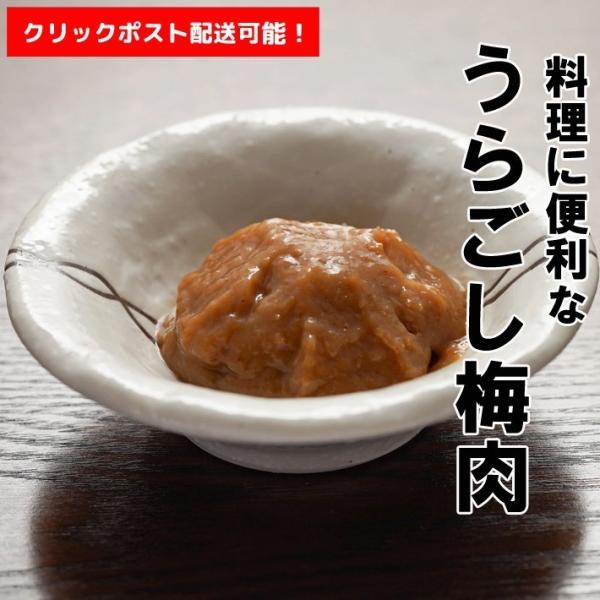 送料185円で全国配送可能 国産 無添加 うらごし梅肉（ねり梅） 250g