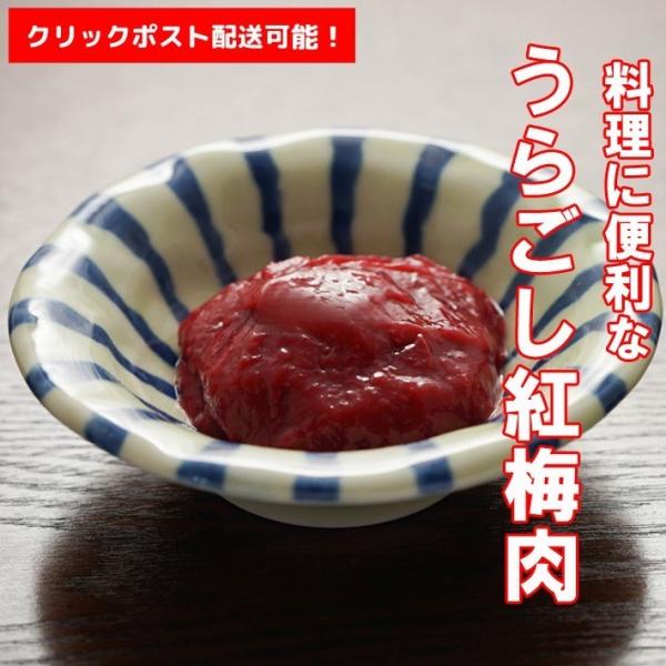 送料185円で全国配送可能 国産 無添加 うらごし紅梅肉（ねり梅） 250g