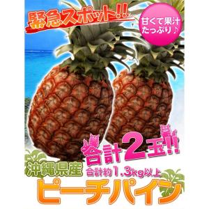 送料無料 緊急ヘルプ!!　ピーチパイン　沖縄県産　1.3キロ以上(2玉)｜umeebeccyasannriku