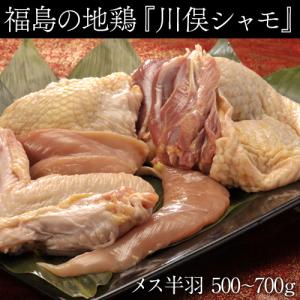 肉 鶏肉 ギフト 福島県 地鶏 「川俣シャモ」バラシ半羽 メス 0.5〜0.7kg ※冷蔵