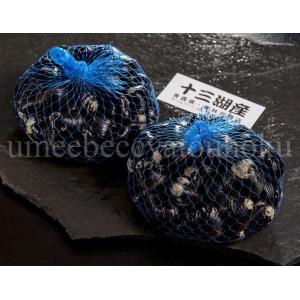 青森 十三湖産 天然活しじみ（２L・1kg） 冷蔵