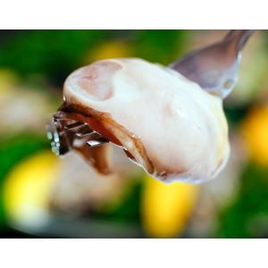 『殻付き牡蠣』瀬戸内海産 生食用 6個入り×2袋 12個入
