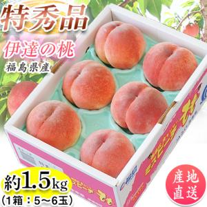 JAふくしま未来 福島県産 「伊達の桃」 特秀品 大玉 約1.5kg 1箱：5〜6玉 産地直送 ※常温 送料無料 ふくしまプライド。体感キャンペーン（果物/野菜）