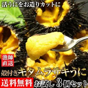 ≪漁師直送≫　鮮度抜群のお造り生うに　お試し3個　宮城県　送料無料