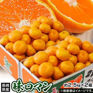 【糖度12度選別】 極甘みかん JA長崎せいひ 『味ロマン』 約2.5kg (S〜L) ×2箱 長崎県産 多少のキズ有　※常温　送料無料