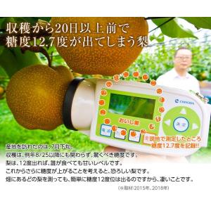 梨 なし さいぎょく 埼玉県産 彩玉 約2kg...の詳細画像2