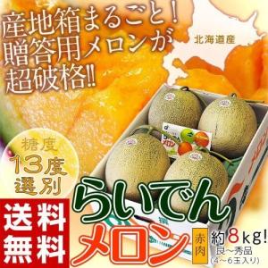 メロン めろん 北海道産 らいでんメロン 赤肉 4〜6玉 約8kg 送料無料