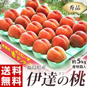 桃 もも 福島県産 伊達の桃  秀品 13〜22玉 約5kg　送料無料 常温 ふくしまプライド。体感キャンペーン（果物/野菜）