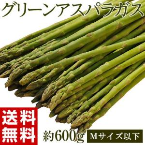 アスパラ アスパラガス（グリーン） Ｍサイズ以下　約600g　福島・会津産/送料無料｜umeebeccyasannriku