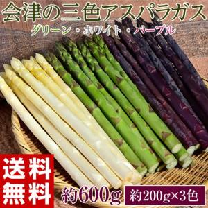 『アスパラガス３色セット』(グリーン・ホワイト・紫)各約200g　福島・会津産※冷蔵/送料無料｜umeebeccyasannriku