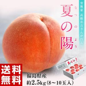 福島県産 高橋忠吉さんの 夏の陽 (なつのよう) 約2.5キロ (8〜10玉) 常温 送料無料 ふくしまプライド。体感キャンペーン（果物/野菜）