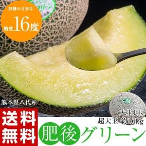 『肥後グリーン』 熊本県産メロン 八代・宇城産ほか 2〜4Lサイズ 優品以上 1玉 約1.6kg 簡易包装 ※常温 送料無料｜umeebeccyasannriku