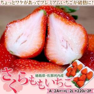 いちご 苺 イチゴ 訳あり さくらももいちご 徳島県佐那河内産 A〜2A又はL?2L 約220g×2パック ※冷蔵｜umeebeccyasannriku