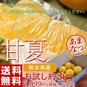 《送料無料》 熊本県産　「甘夏」　約3kg　※常温｜umeebeccyasannriku