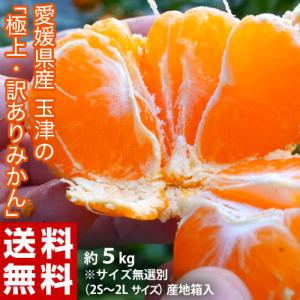 【傷・すれの訳アリ】愛媛県産　『玉津みかん』 約5kg　※サイズ無選別（2S〜2Lサイズ） 産地箱入 ※常温 送料無料
