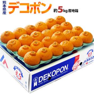 『デコポン』 熊本県産柑橘 約5kg 15〜24玉 産地箱入 ※常温 送料無料