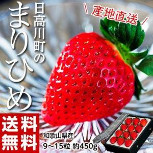 いちご イチゴ 果物 希少 苺 和歌山 日高川町産 まりひめ 約450g 9〜15粒入 送料無料 冷蔵｜umeebeccyasannriku