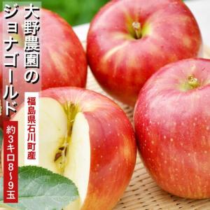 送料無料　大野農園のジョナゴールド　福島県石川町産　約3kg　8〜9玉　※常温・産地直送