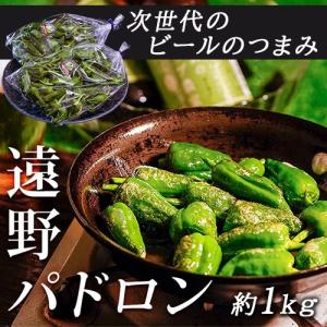 『遠野パドロン』 岩手県産パドロン 約1kg(500g×2袋) 簡易包装